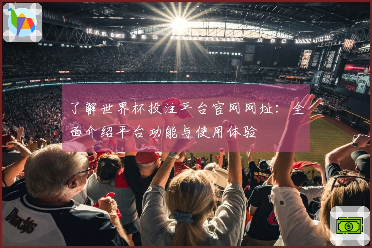 了解世界杯投注平台官网网址：全面介绍平台功能与使用体验
