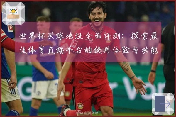 世界杯买球地址全面评测：探索最佳体育直播平台的使用体验与功能比较