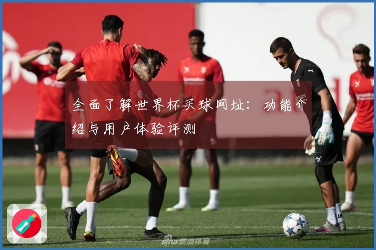 全面了解世界杯买球网址：功能介绍与用户体验评测